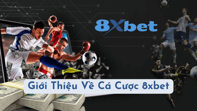 Giới Thiệu Về Cá Cược 8xbet